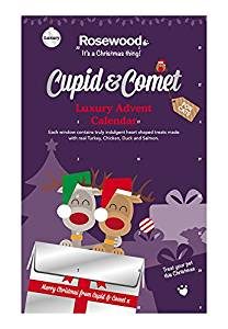 cat-advent-calendar